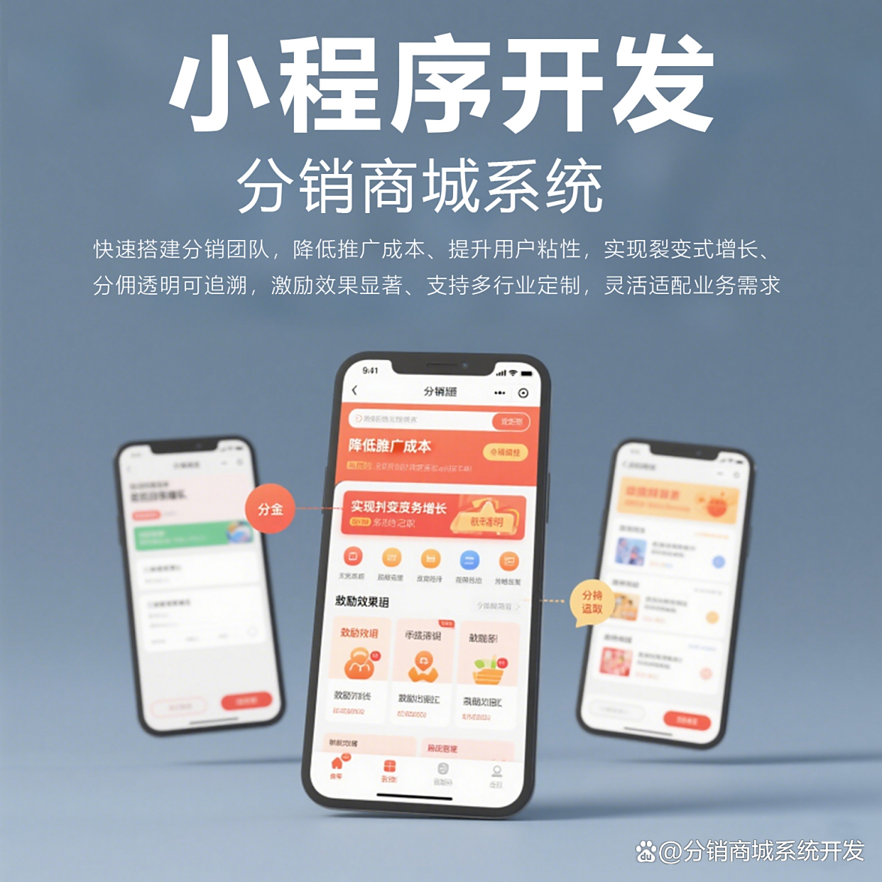程序开发